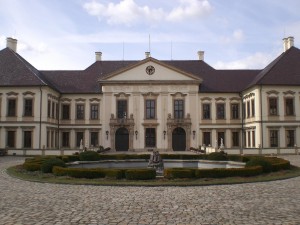 Kopie - CIMG4018
