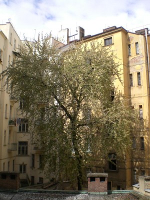 CIMG4044