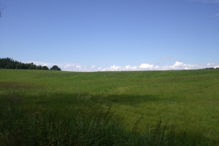 CIMG4569