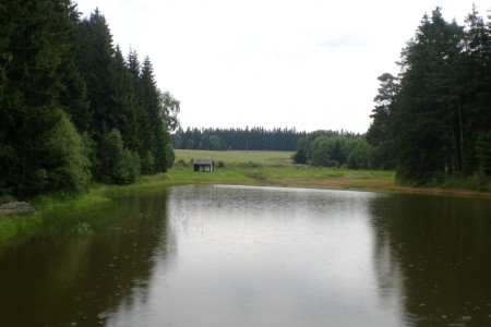 dolni veronika
