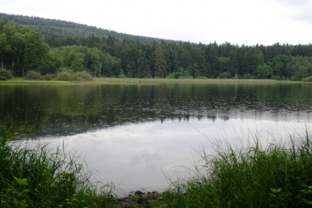 mrzatec