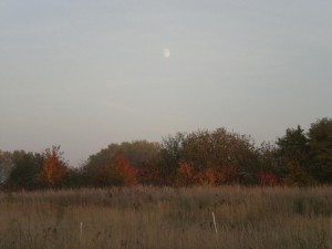 CIMG3873